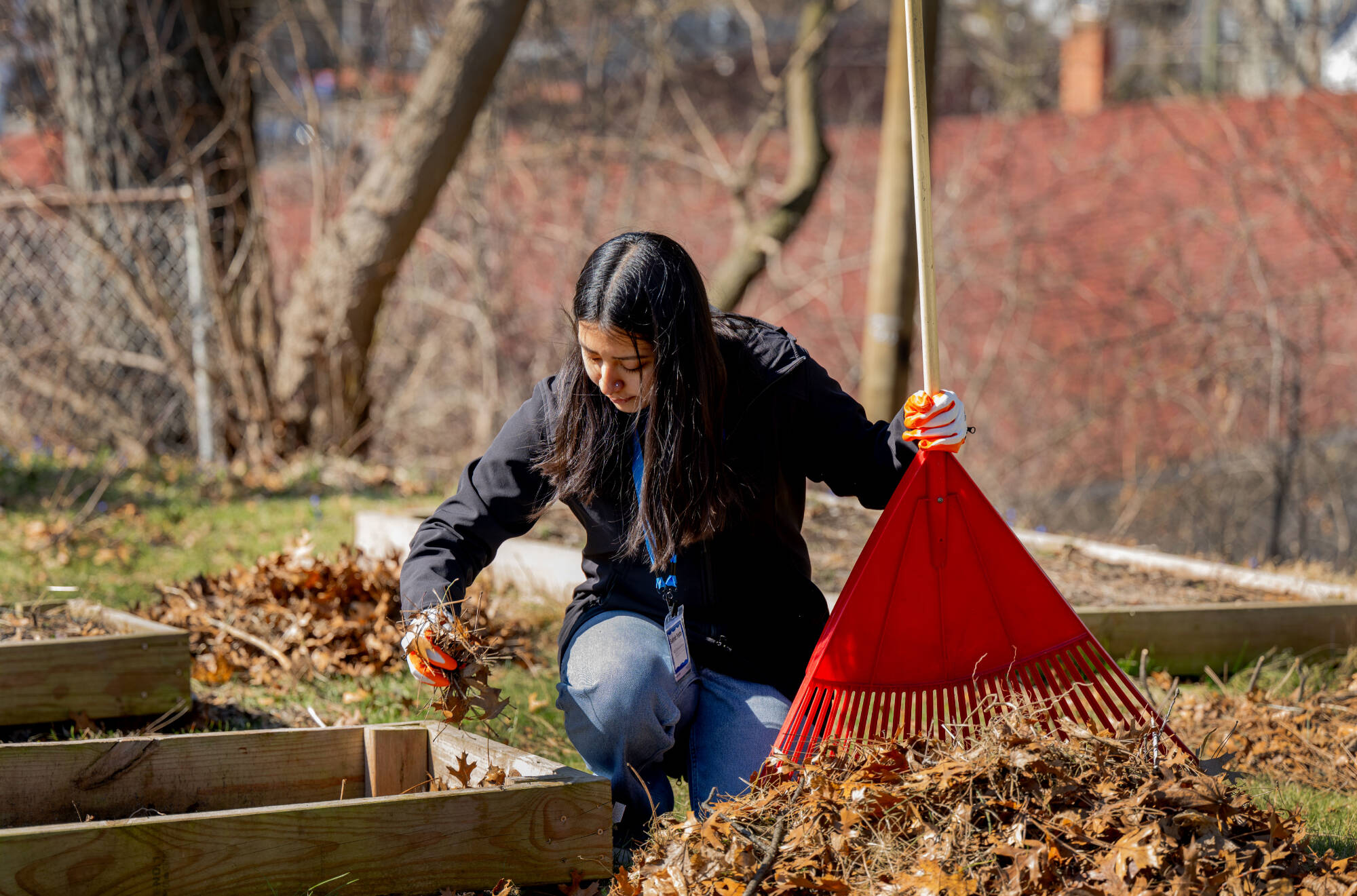 leaves and dirt patch
